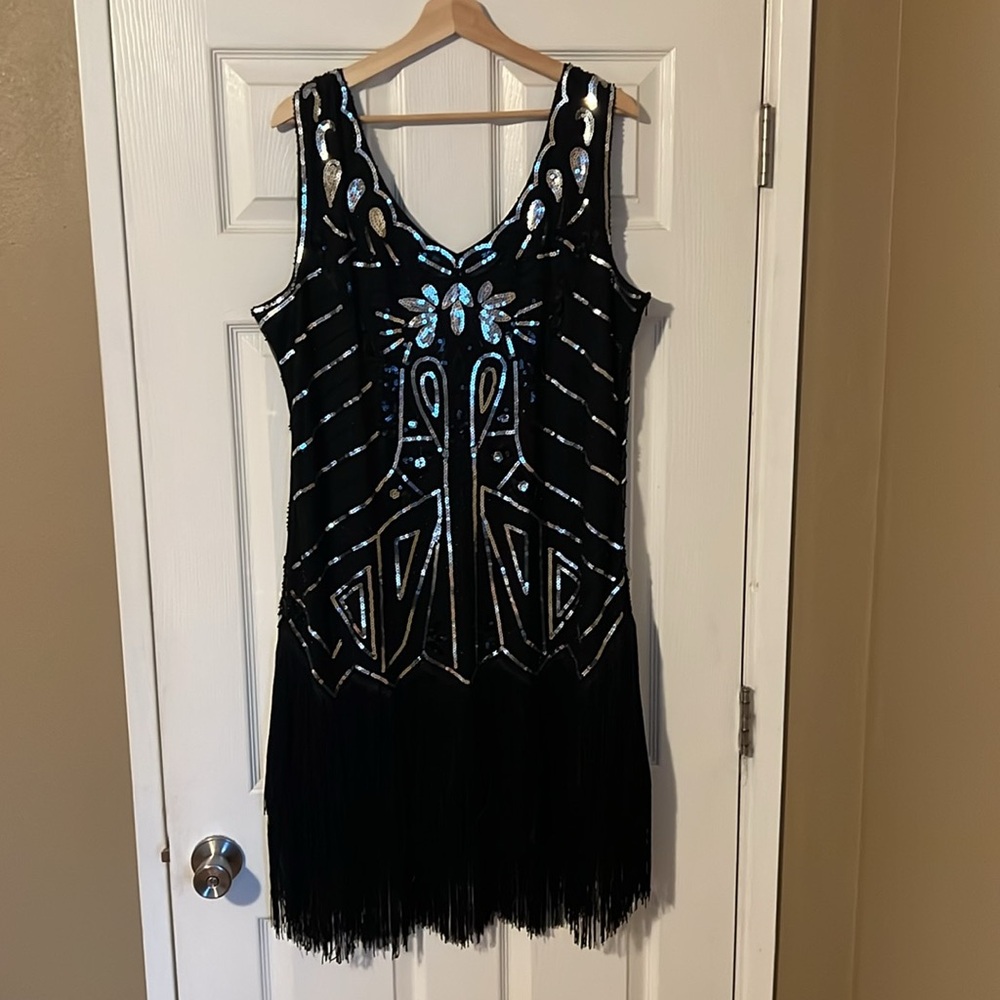 Flapper Dress - Picture 2 of 11